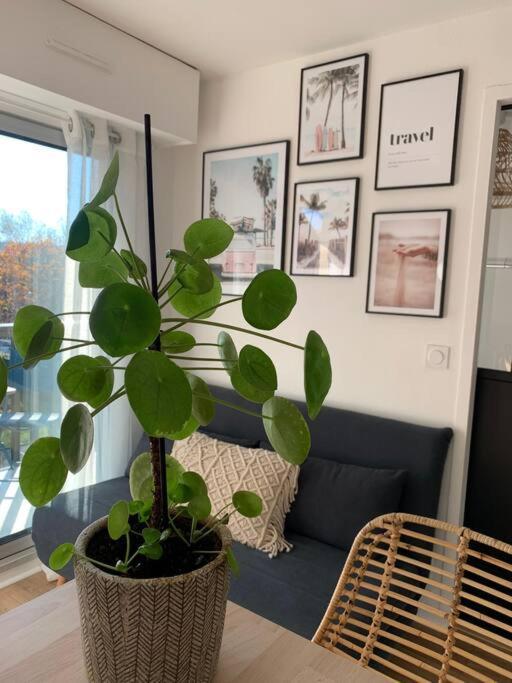 L'Appart 204, Superbe Appartement En Residence Villers-sur-Mer Buitenkant foto